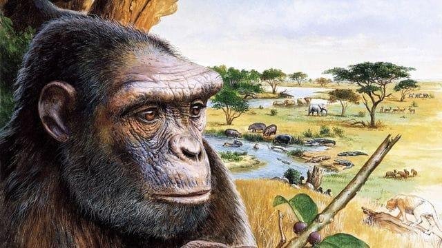 La Aparición del Primer Homínido Conocido: El Sahelanthropus tchadensis
